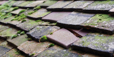 Leasowe roof repair costs
